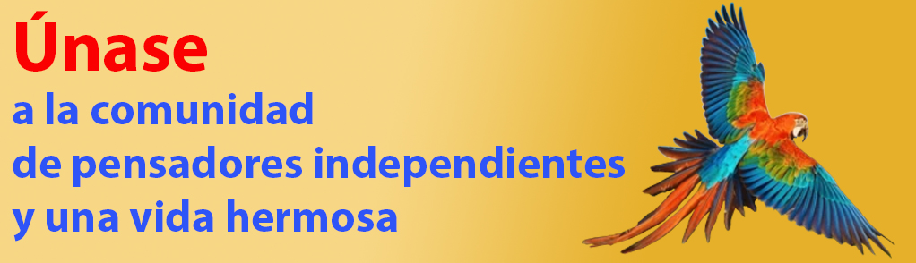 Foto del Producto